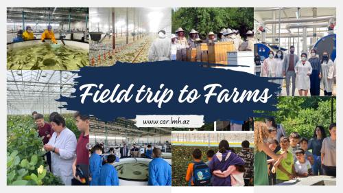 Field trip to Farms